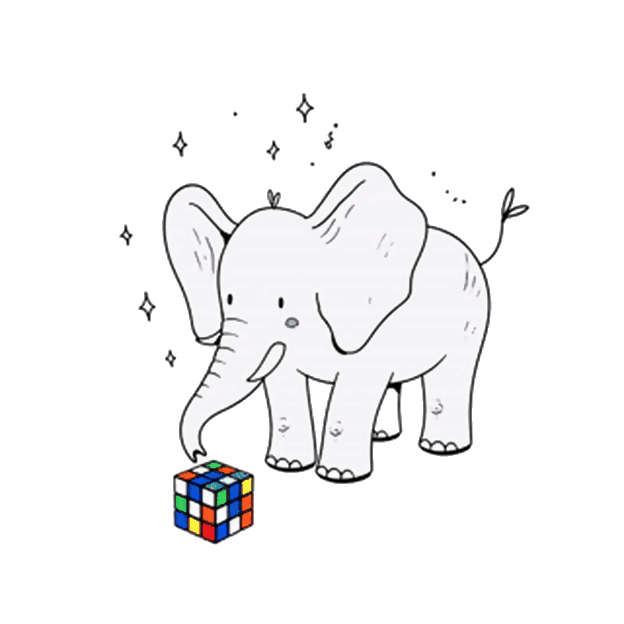 Sage, studying a Rubik's cube
